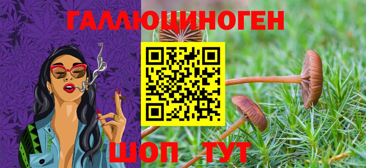 Соль-Илецк  Галлюциногенные грибы Psilocybine cubensis  где можно купить   Вход с VPN 